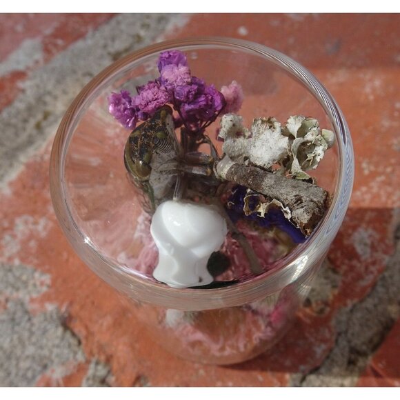 Cicada & Beetle Nature Art Oddity Jar mini vulture skull flowers goth taxidermy - Picture 9 of 10